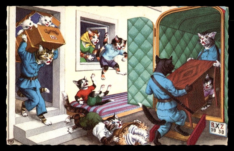 Mayfairstamps pc fauna cats moving with kittens causing mayhem graphic Post Card