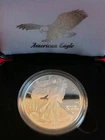 2025-W American Silver Eagle Proof Congratulations Set