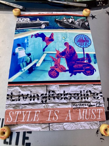 DUANE PETERS PUNK ROCK SKATE 36x24 MATTE POSTER REBELIFE DIY QUADROPHENIA