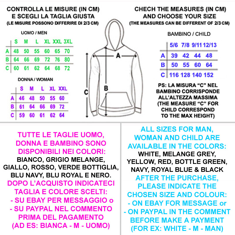 Худи или толстовка для мужчины VINTAGE NASA ROVER MOON SPACE