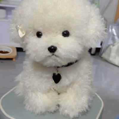 New Curly Dolls Toys Plush Toys Cute Soft Doll Decor Kids Baby Birthday Gifts