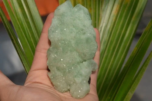 apophyllite green Mineral Specimen – India #1933