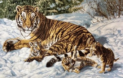 Gobelin Tapestry Wandteppich Wandbehang Teppich Familien Tiger 110x70cm