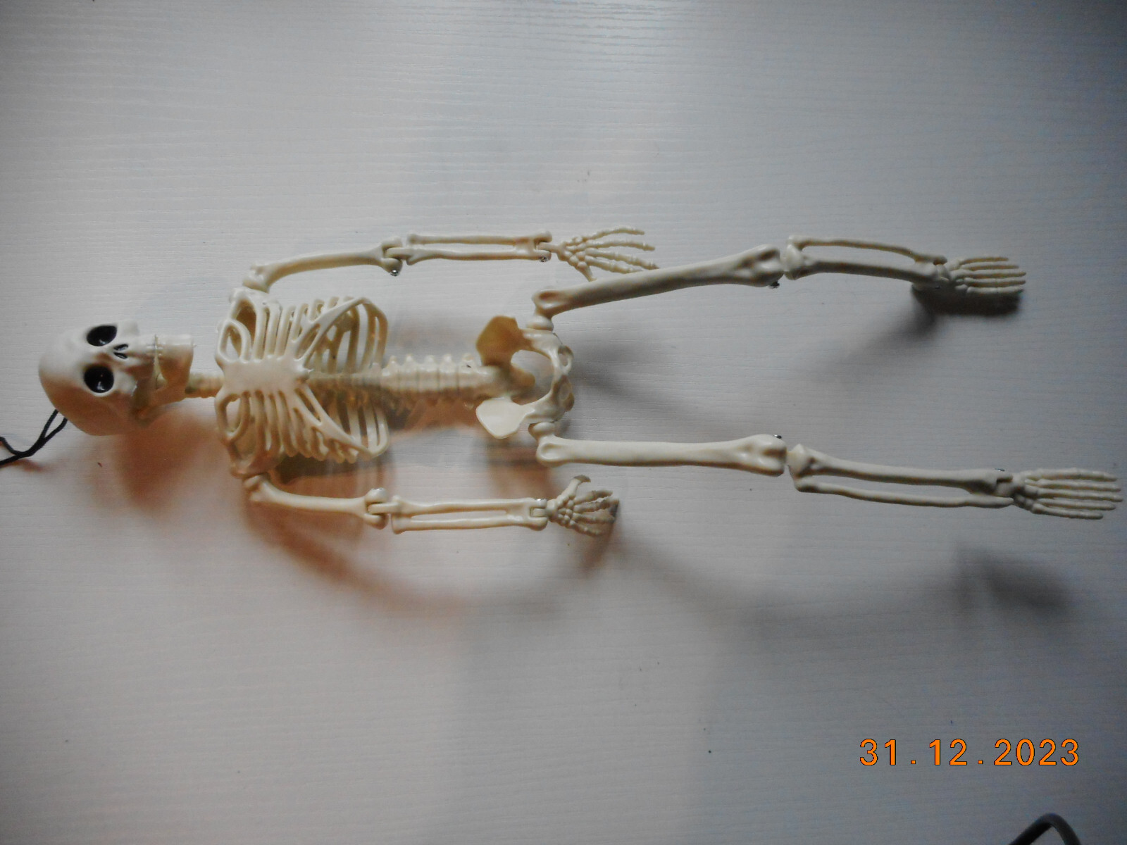 40 Cm Mini Skelett Modell Mit Beweglichen Gelenken - Perfekte Halloween Deko Für Haus Und Garten