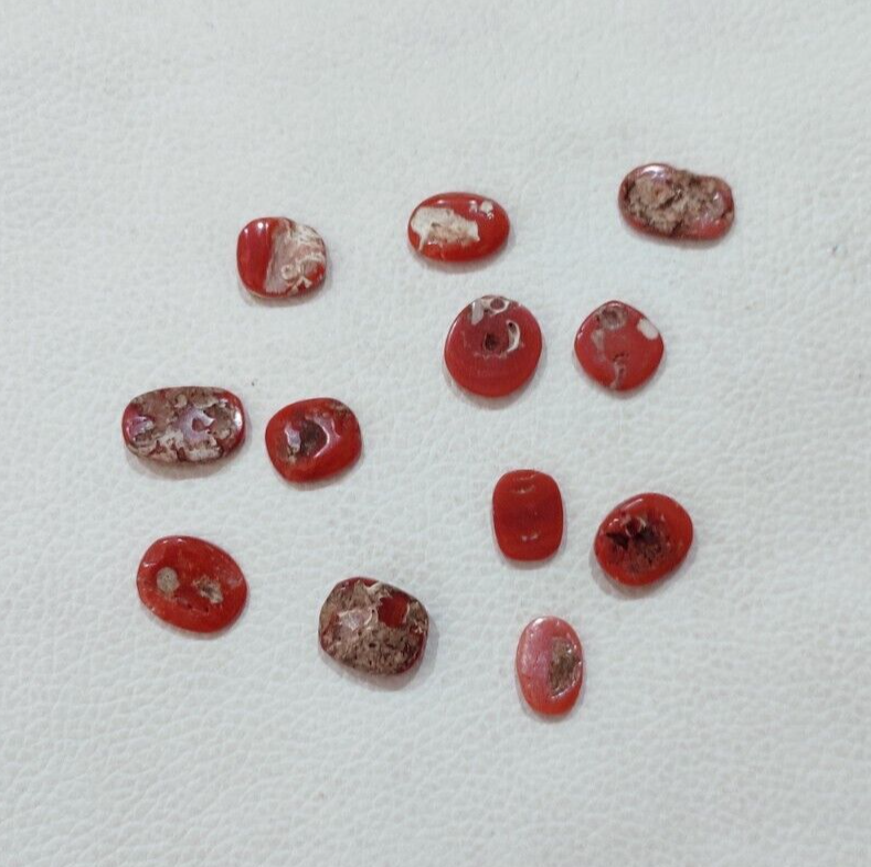 Cabochon De Corail Rouge Naturel Méditerranéen - Italie - 27x6 Mm - 8.40 Carats - Neuf