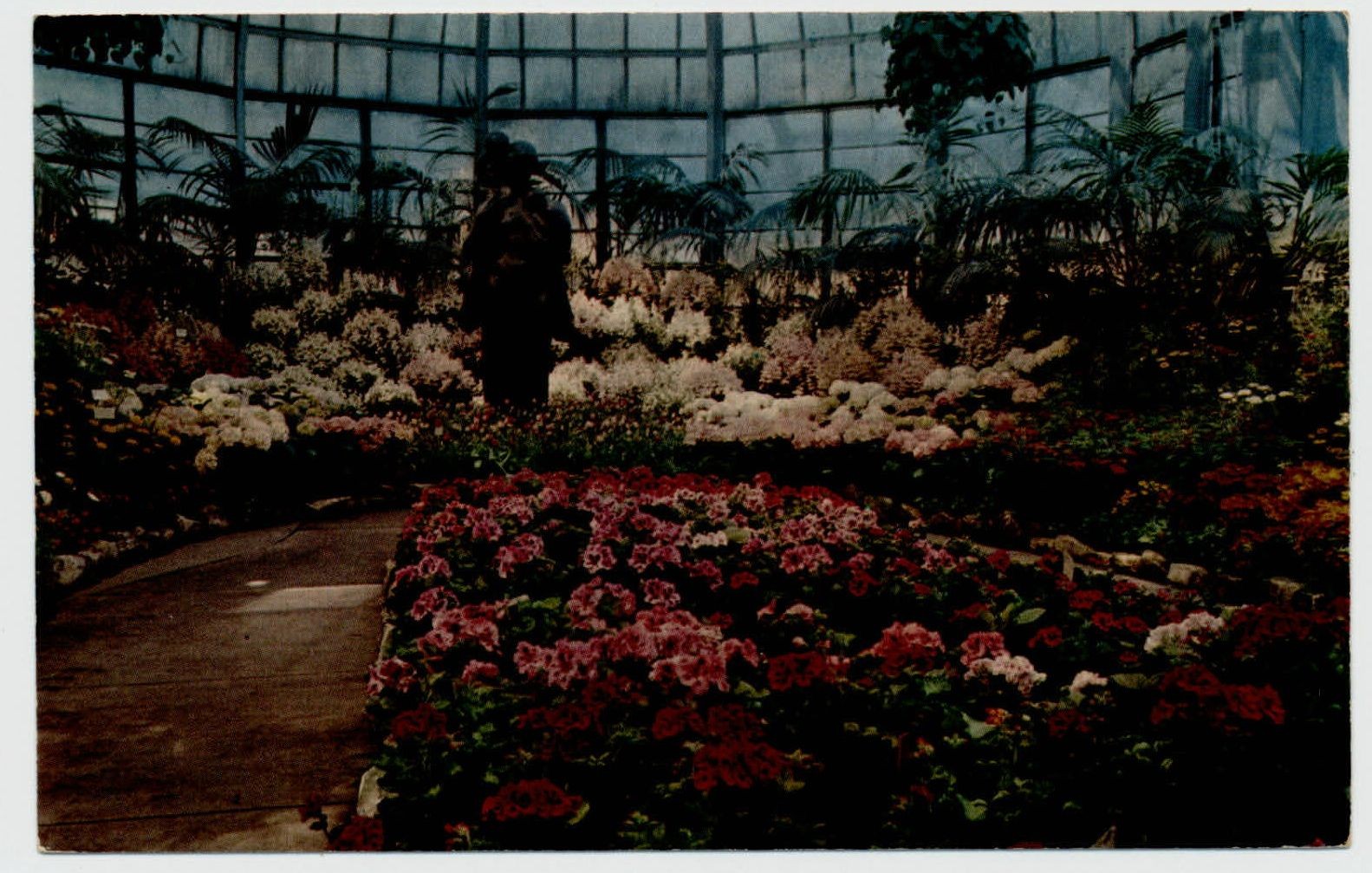 Easter and Spring Flower Show Lincoln Park vintage postcard s671 | eBay