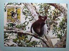 MADAGASKAR MK WWF FAUNA AFFEN AFFE LEMUREN MAXIMUMKARTE MAXI CARD MC CM gz94
