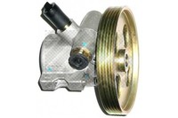 Servopumpe FüR Citroen Peugeot 1991-2011