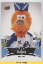 2016-17 Upper Deck AHL Team Mascots Roscoe #TM14 READ 16yx