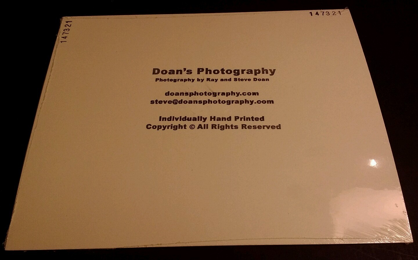 Mountain Lion Stalk Cougar Animal Photo Print 8x10 New Matted HQ Gift Sealed thumbnail 4