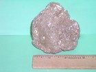 ANCIENT FOSSIL ROCK--UNIQUE & ONE OF A KIND--FROM CALIFORNIA — photo 1