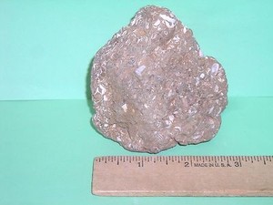 ANCIENT FOSSIL ROCK--UNIQUE & ONE OF A KIND--FROM CALIFORNIA