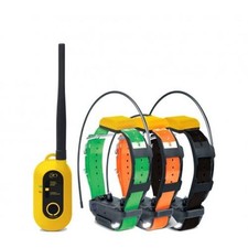 Dogtra PATHFINDER2 GPS 3 Tracciamento e Addestramento Cani, Recinzione Elettrica e Luce LED Faro Coll