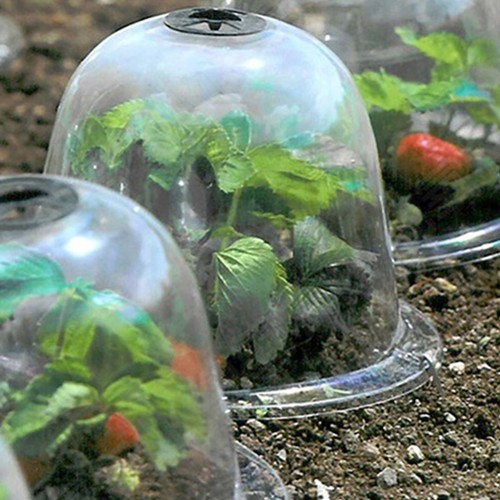 2 PCS Nursery Cover Freeze Protection Cloche Garden Frost Dome for Plants - Picture 12 of 12