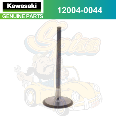 Kawasaki Genuine 2011-2016 Ninja ZX-10R VALVE INTAKE 12004-0044 | eBay