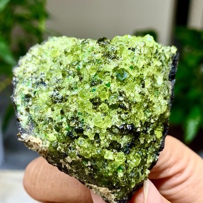 175G Natural Olivine Rock Specimen Deposits On Lava Stone Peridot Black