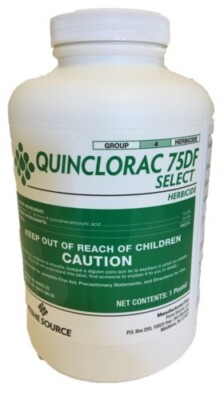 Quinclorac 75DF Herbicide - 1 Pound (Drive 75, Quinstar)