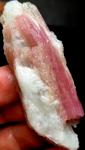 46g 1PCS Natural Red tourmaline Quartz Crystal cluster mineral specimen p828 - Picture 6 of 8