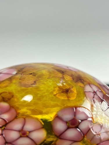 Robert Held Art Glass Hand Blown Ginger Jar & Paperweight Bundle Cherry Blossoms - Picture 23 of 24