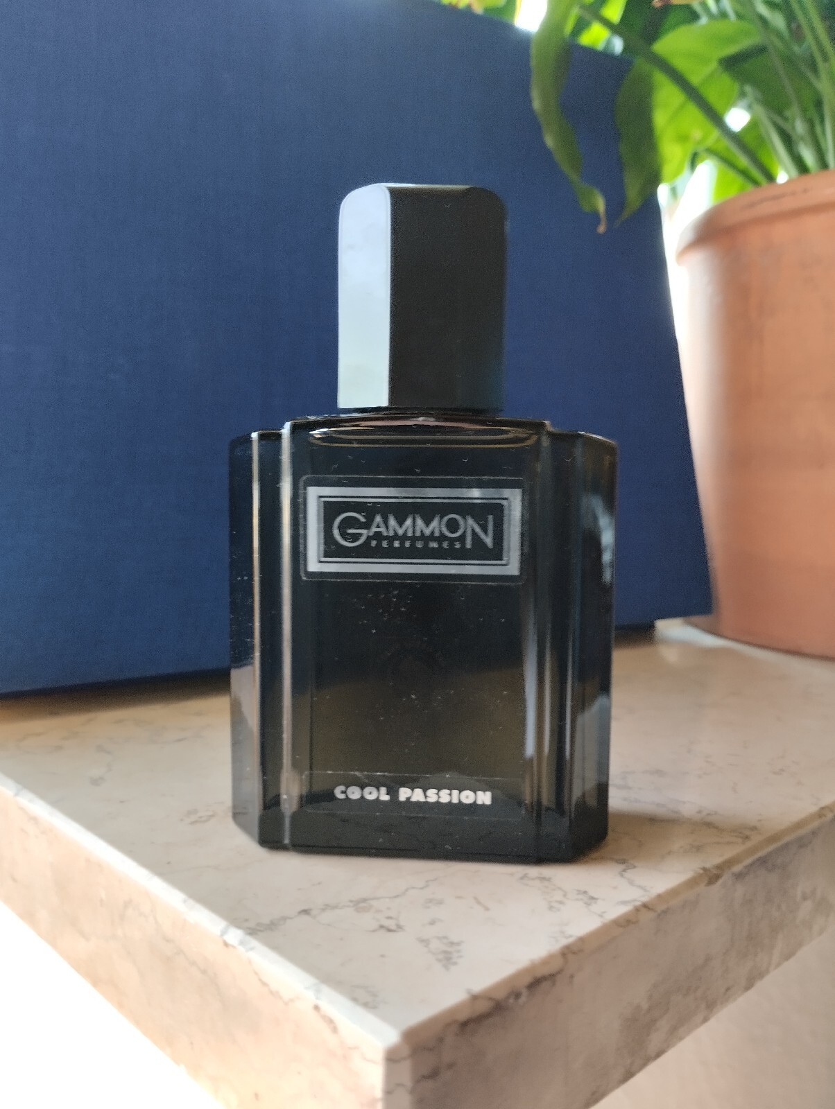 *Vintage*Rare* Sehr seltene* Gammon Eau de Toilette/After Shave 100ml