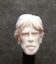 062 CHUCK NORRIS  - Custom resin headcast
