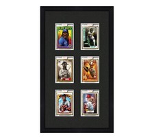 Card Frame Display six openings to fit P70, Project 2020 or Project 100 Slabs