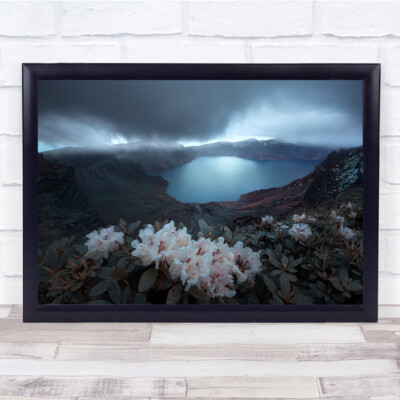 Blumen Blumen Blütenblätter Seen Berge bewölkter Himmel Wandkunstdruck