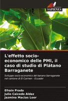 EfraíN Prado (U. A.) | L'effetto Socio-Economico Delle Pmi, Il Caso Di Studio...