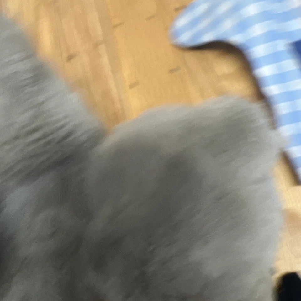 3 marionetas de peluche MARY MEYER de colección niña afroamericana león gatito gato arte popular Foto 4 de 4