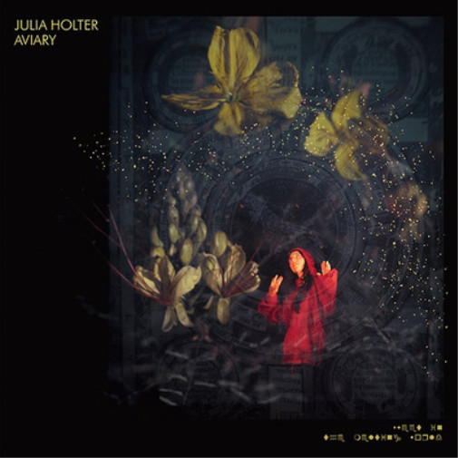 Альбом Julia Holter Aviary (винил), 12 альбомов (с откидной обложкой) (ИМПОРТ из Великобритании)