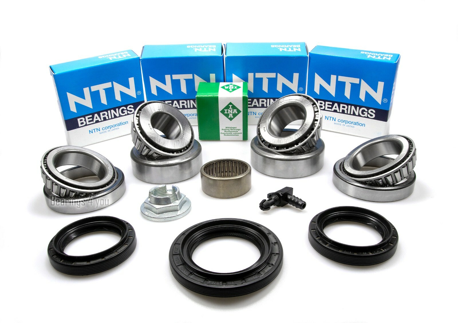 Bearing rebuild Kit (98460046) main image 1
