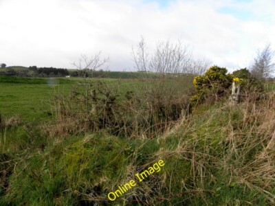 Foto 6x4 Killucan Townland Drumshanbo\/H7378 Blick nach Westen von New Line c2014