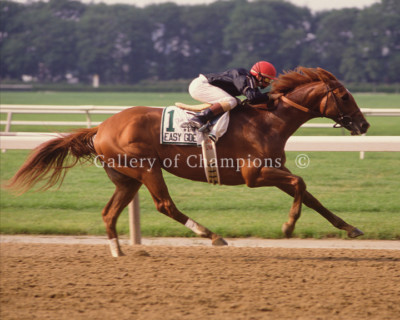 Easy Goer 1989 Belmont Stakes #1 Photo 8'' x 10 - 24'' x 30'' 