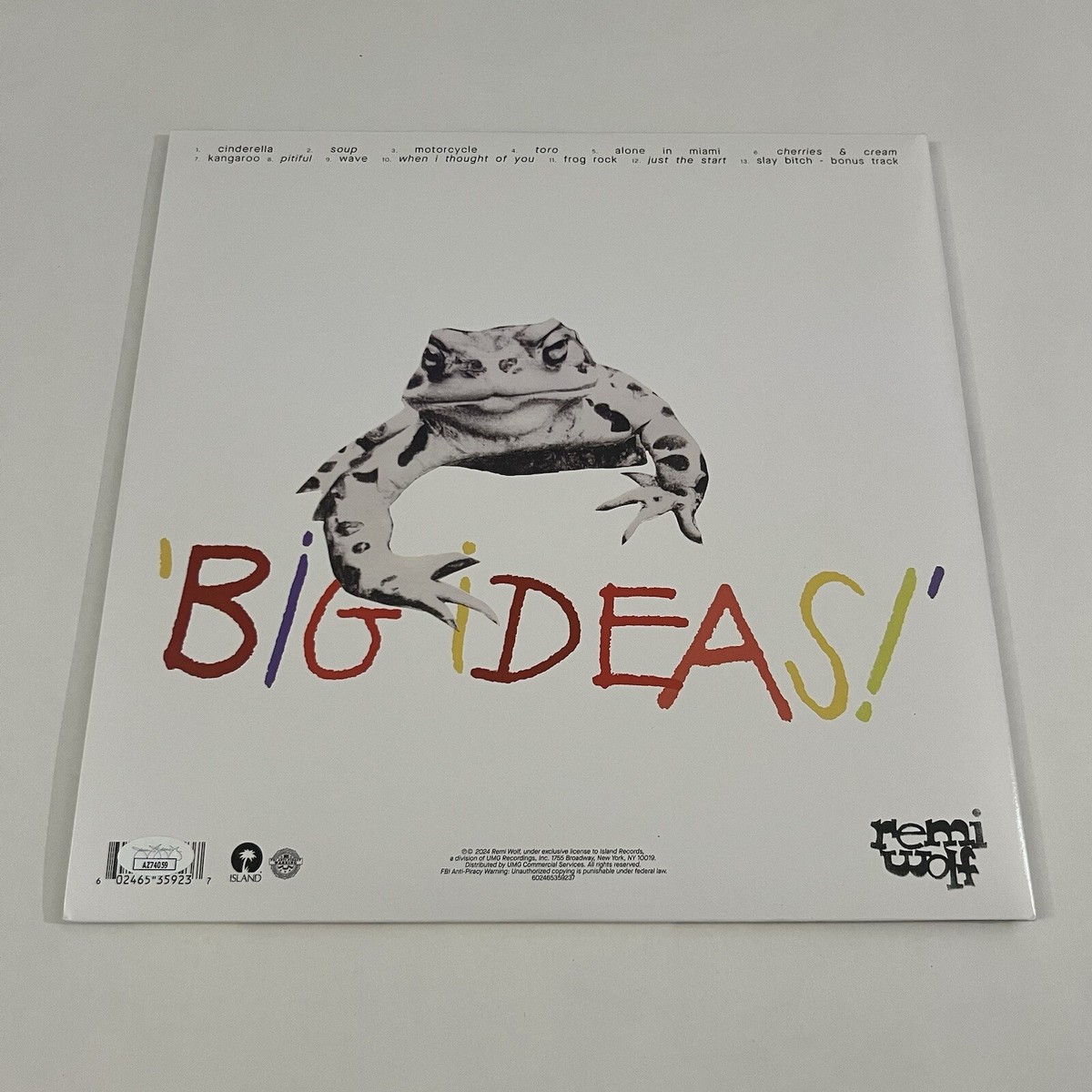 Remi Wolf　BIG IDEAS　直筆サイン入りCD Remi Wolf BIG IDEAS 直筆サイン入りCD Big Ideas Signed