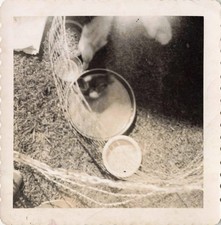 VTG Photo Baby Birds Ducklets Kennel Fence Feeding Bowls