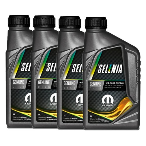 KIT TAGLIANDO FIAT GRANDE PUNTO 1.3 MULTIJET 75CV 55KW DAL 2005 4lt SELENIA 5W40 - Imagen 8 de 10