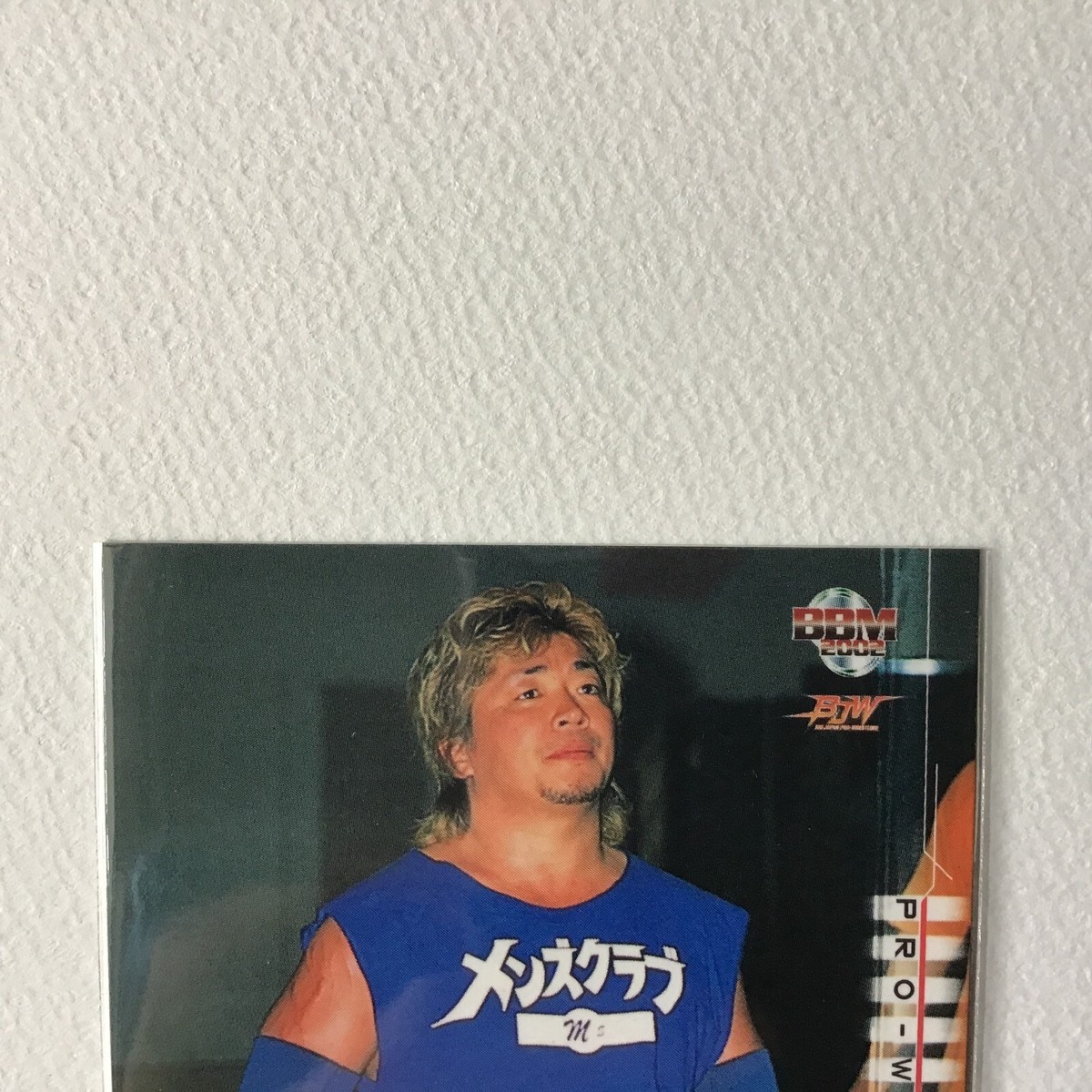 ECWプロレスカード ピットブルズ　BBM BBM Wrestling Card 2002 Men's Teioh Kai En Tai Michinoku Pro WWE