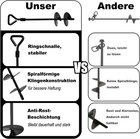 Bild 6 von 12