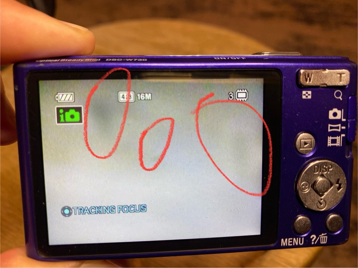 SONY Cyber-shot DSC-W730 Blue 16.1 MP Blue Digital Camera Tested