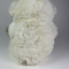 Bild 7 von 10