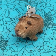 Clyde Capybara Bag Charm - Jellycat Plush Keychain - Soft Toy Gift - NWT Cute