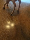 Bild 9 von 9
