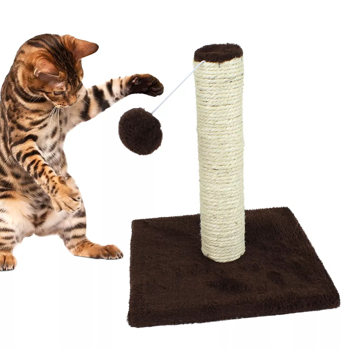 Cat 2025 pole toy