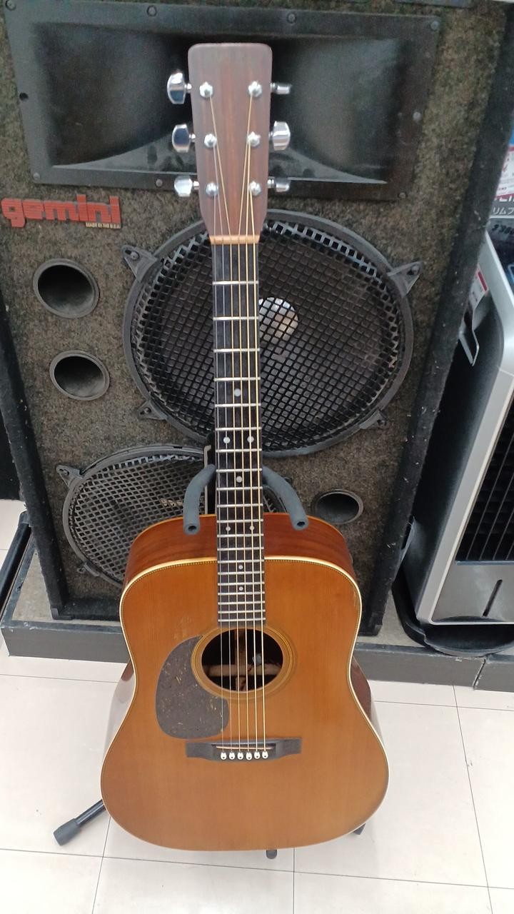 MARTIN D-28 lefty & electric acoustic guitar