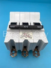 Federal Pioneer 100 Amp 3 Pole NB Circuit Breaker FPE Bolt On NB3100 100A