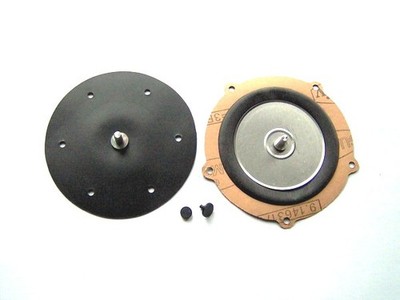 LPG Gasreduzierer-Reparatursatz Landi Renzo EC04 2302