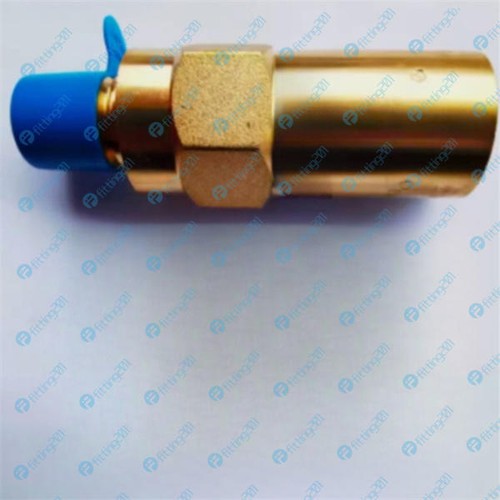 1PC NEW REGO PRV9432TP230C TP low temperature Dewar safety valve - Picture 2 of 5