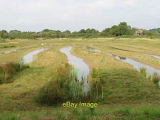Photo 6x4 Wet grassland habitat Attenborough Nature Reserve Topsoil has b c2013