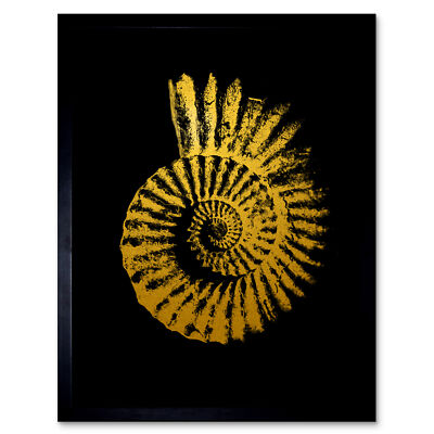 Gold Effekt gelb schwarz Muschel Spirale gerahmter Wandkunstdruck 9 x 7 Zoll