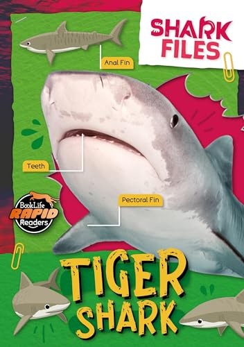 Tiger Shark by Robin Twiddy (Paperback Book) - Image 7